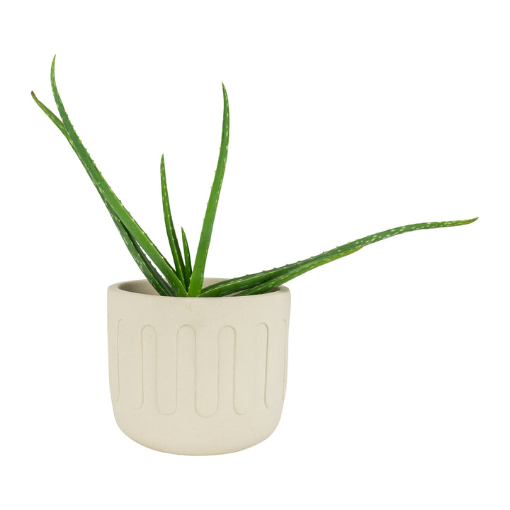 QUVIO Bloempot - Drips - Beton - Beige (2)