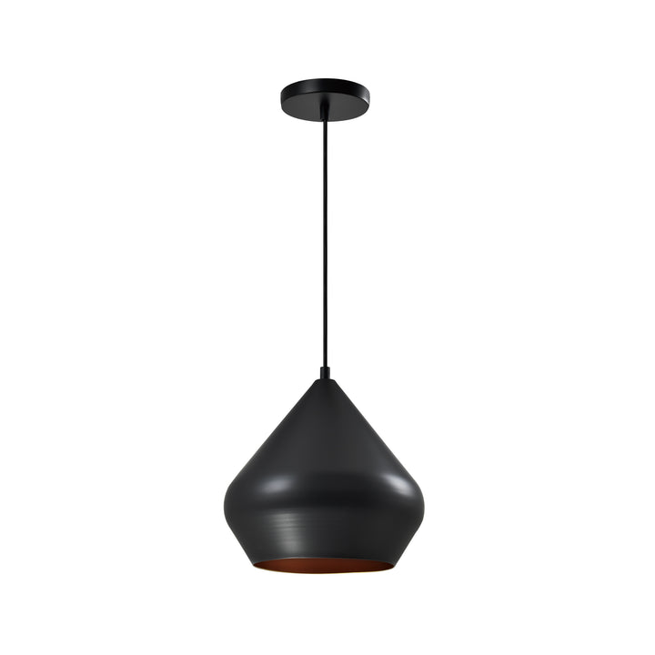 QUVIO Hanglamp zwart - QUV5161L-BLACK (1)