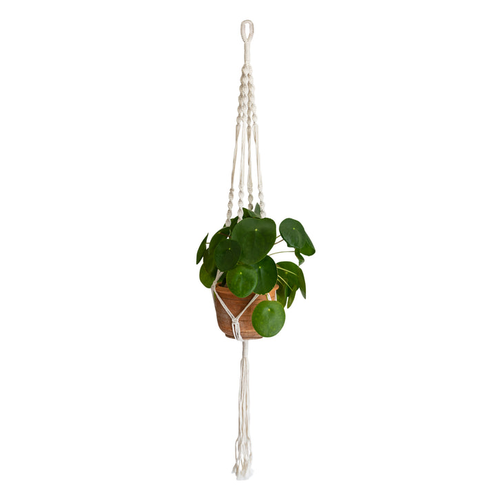 QUVIO Plantenhanger gevlochten touw met spiralen - Wit