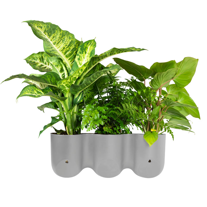 QUVIO Wand bloempot-trio plastic - Grijs (3)