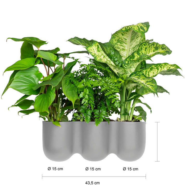QUVIO Wand bloempot-trio plastic - Grijs (2)