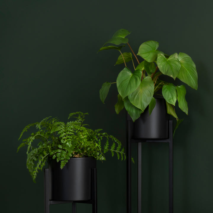 QUVIO Plantenstandaard inclusief pot - 22 x 22 x 90 cm - Metaal - Zwart - L (5)