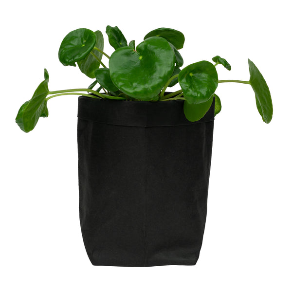 QUVIO Plantenzak uitwasbaar 10x10x20cm - Zwart
