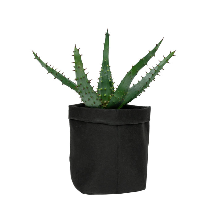 QUVIO Plantenzak uitwasbaar 9x9x15cm - Zwart