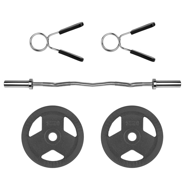 RYZOR Olympische EZ halterstang - 120 CM - Staal - zilver + Halterschijf - 20 KG - Gietijzer - Grijs - 1 Paar