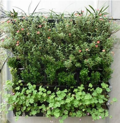 QUVIO Verticale tuin - plant wand met 56 vakken - 1 x 1 meter (5)