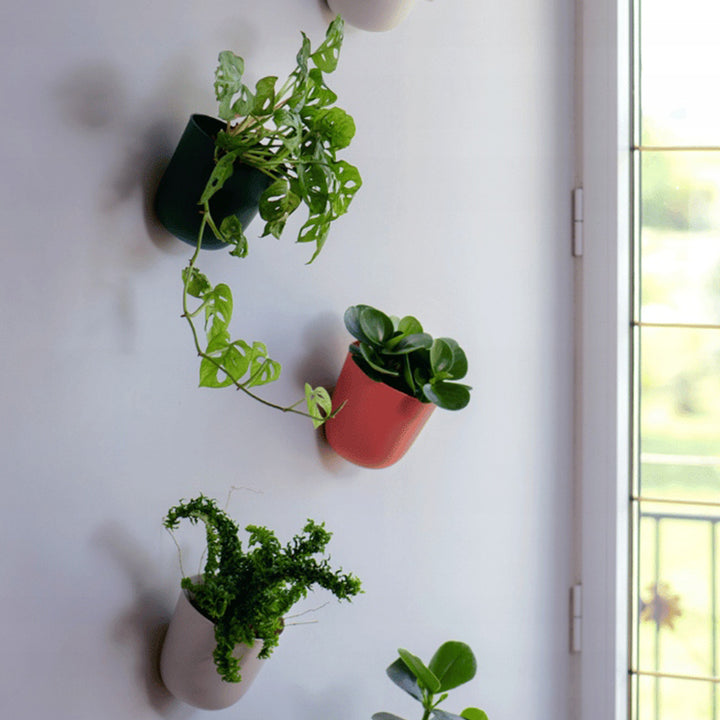 QUVIO Wand bloempot- Kunststof - Wit (3)